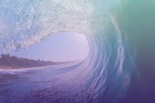 Claim Surge